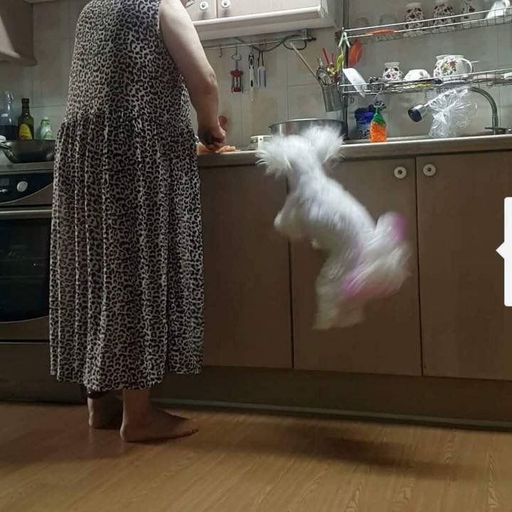 6f683c4251cf0bdf9aef8b4aa53a237a_1714540453_0743.jpg
